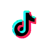 TikTok Ads